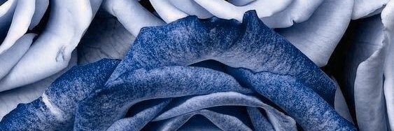fikranurul's profile banner image