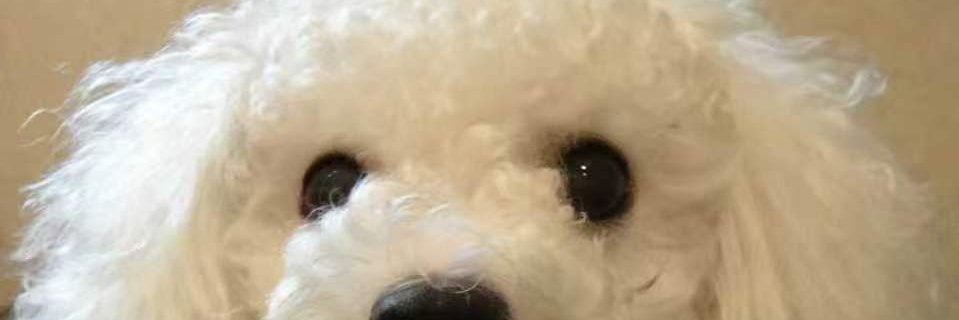0_o's profile banner image