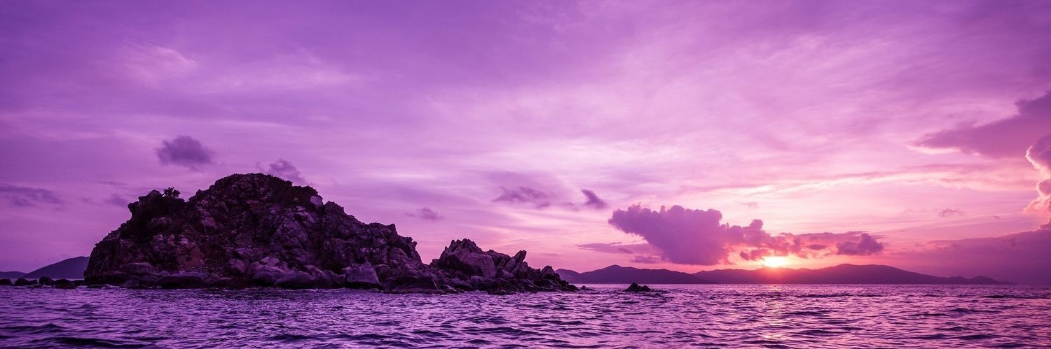 tiffanytoro's profile banner image