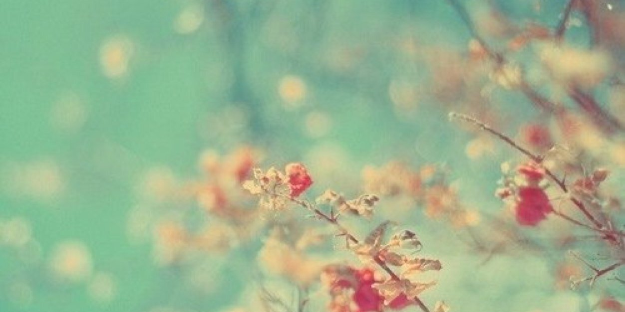 diilaaaa's profile banner image
