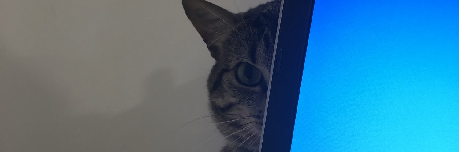 PilarGaleanoCub's profile banner image