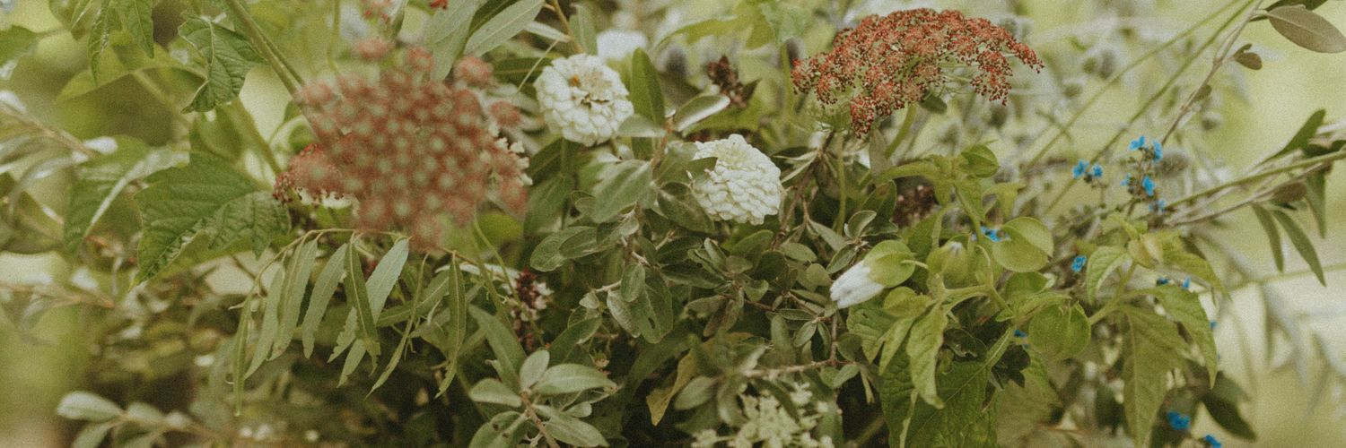 Kayla Buehler banner