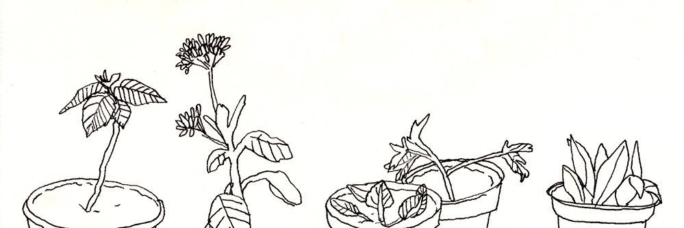 daniel elizabeth banner