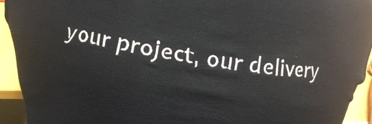 max20 Project Solutions banner