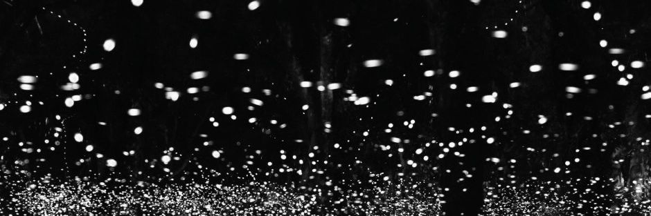 El Ge banner