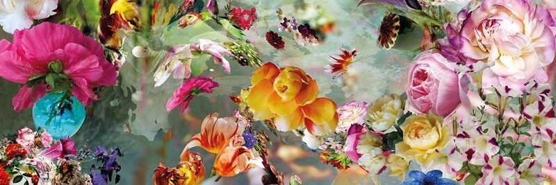 SandraDwiA's profile banner image