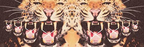 al3xxxx's profile banner image