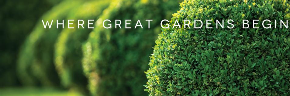 CaraghNurseries's profile banner image
