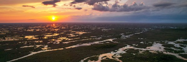 FoEverglades Profile Banner