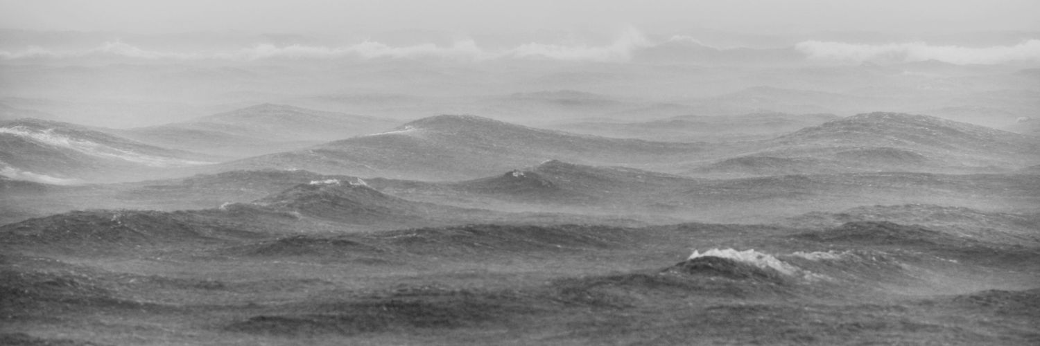 Дельфин banner