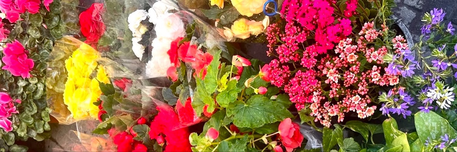 badeelo's profile banner image