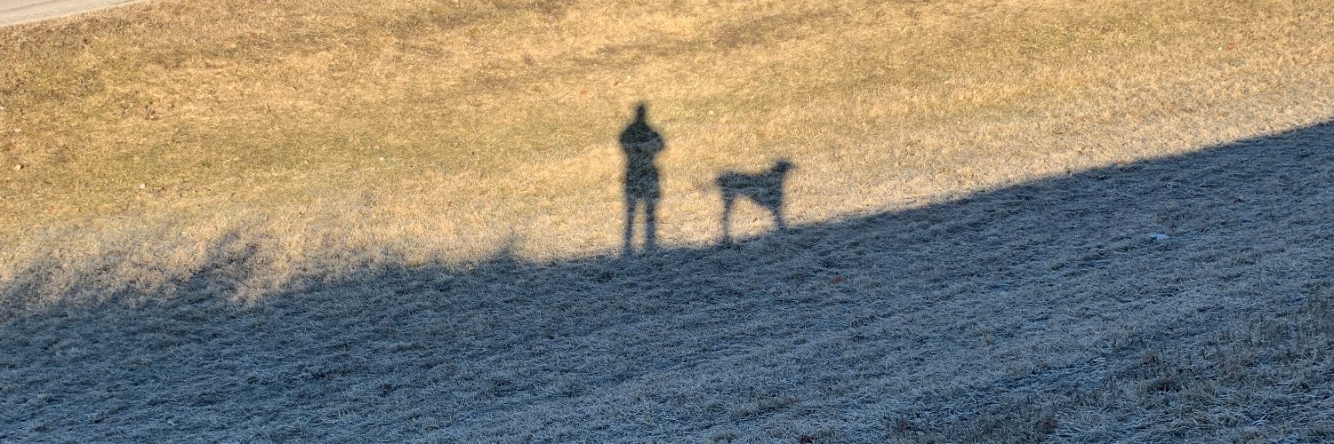 Rachel Stassen-Berger banner