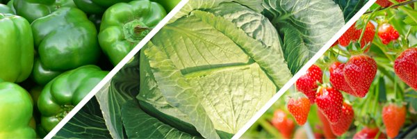 CortevaUS Profile Banner