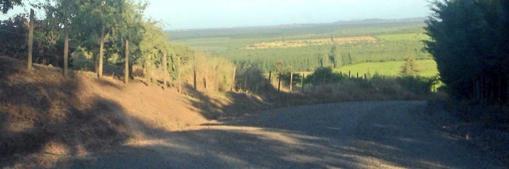 sonnestile's profile banner image