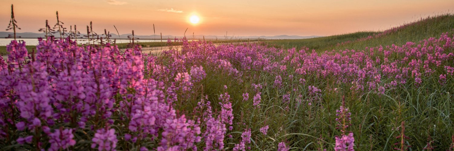 Bering Land Bridge NP banner