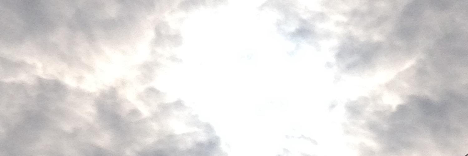 avellanany's profile banner image
