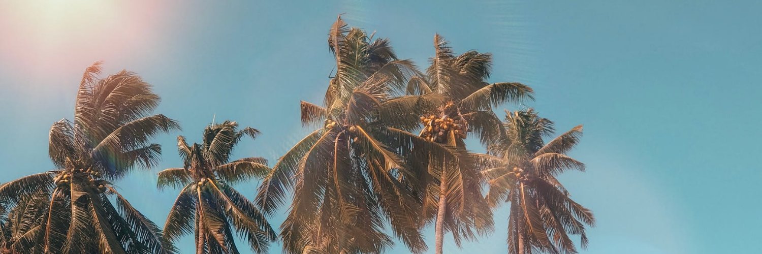 PregoViajes's profile banner image