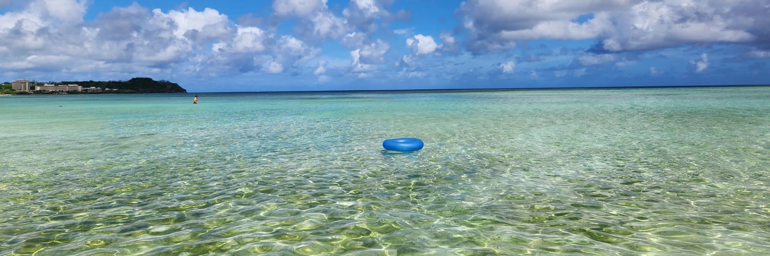 Sheryl NussbaumBeach banner