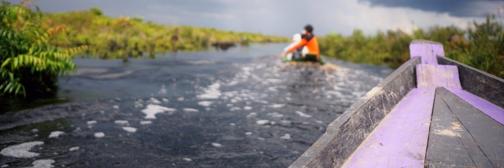 Devan Wardwell banner