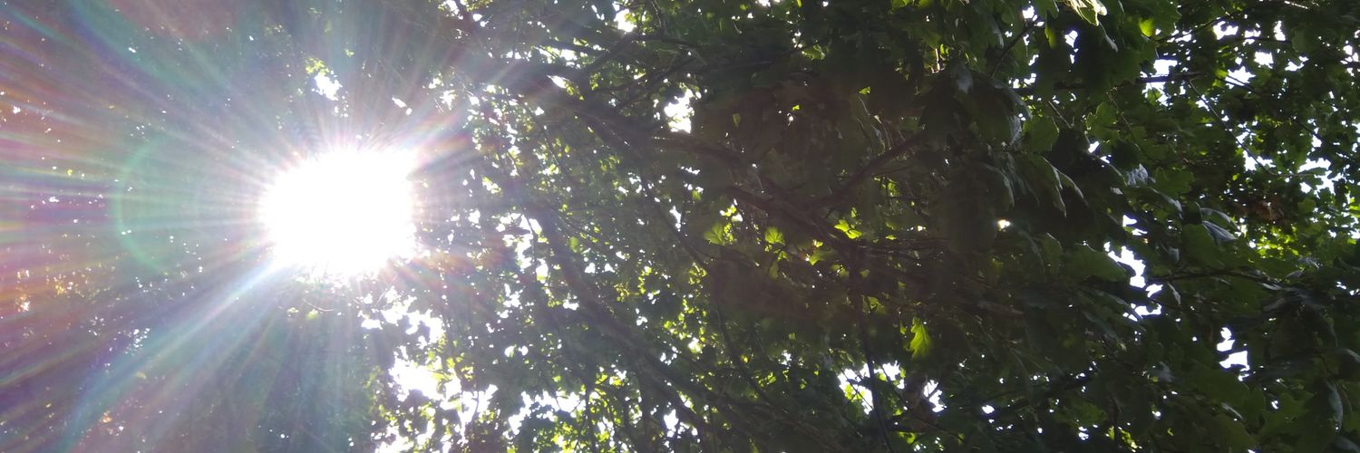 buzv's profile banner image
