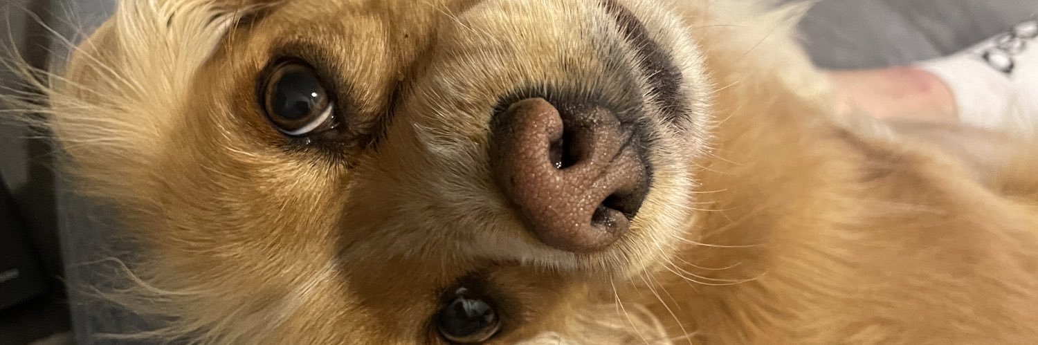 SamRamirezT's profile banner image