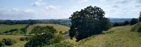 HenryP Profile Banner