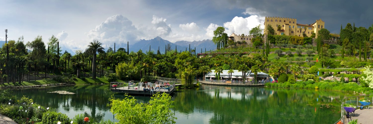 𝕊𝕋𝔼𝔽𝔸ℕ 🤓 banner