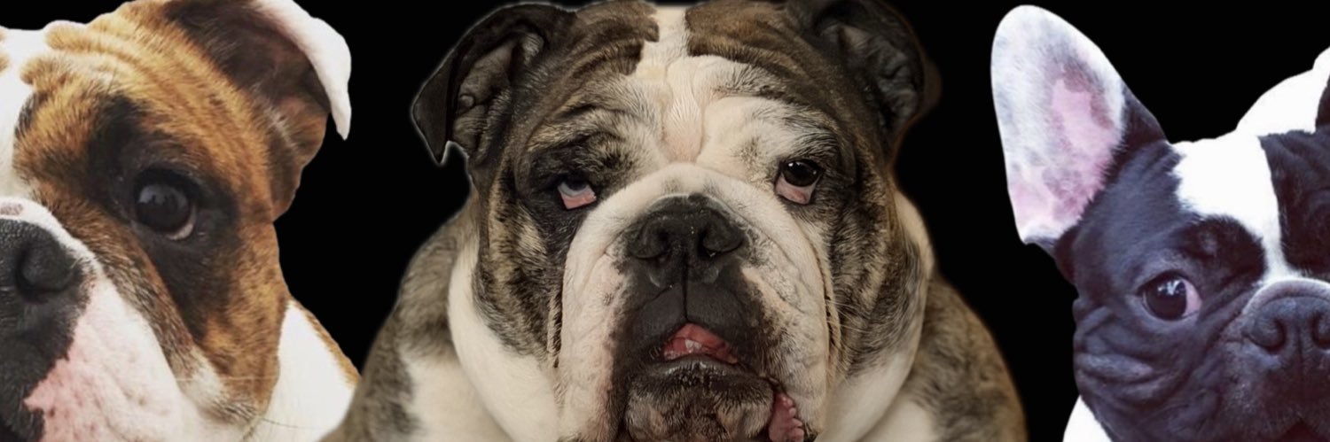 Adrián Morales banner