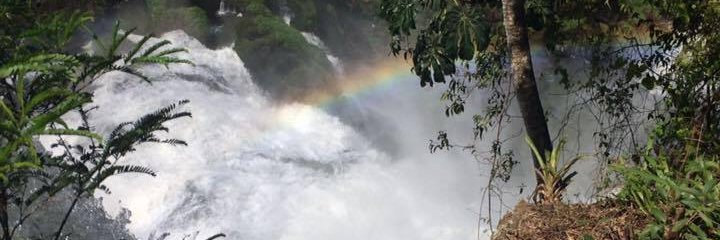 santos_sara's profile banner image