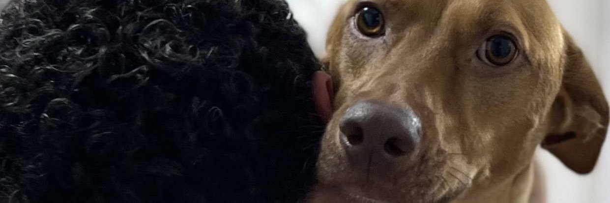 denysaldman's profile banner image