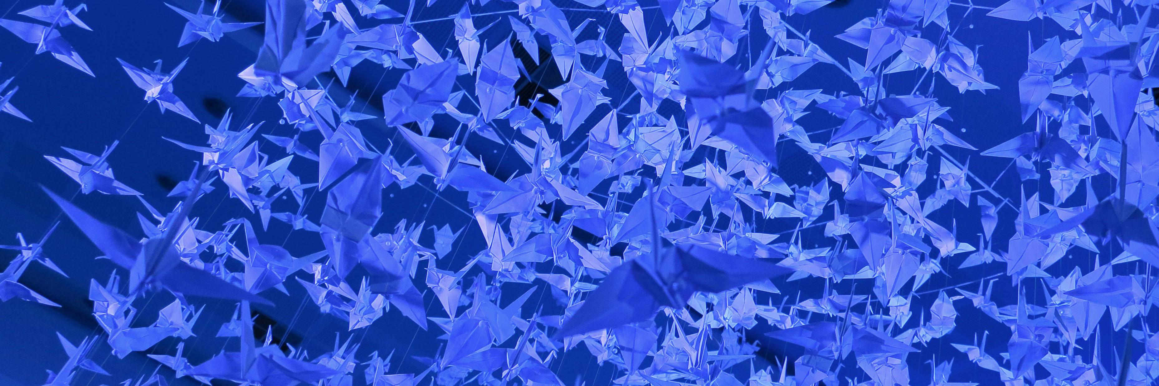 carambombo's profile banner image