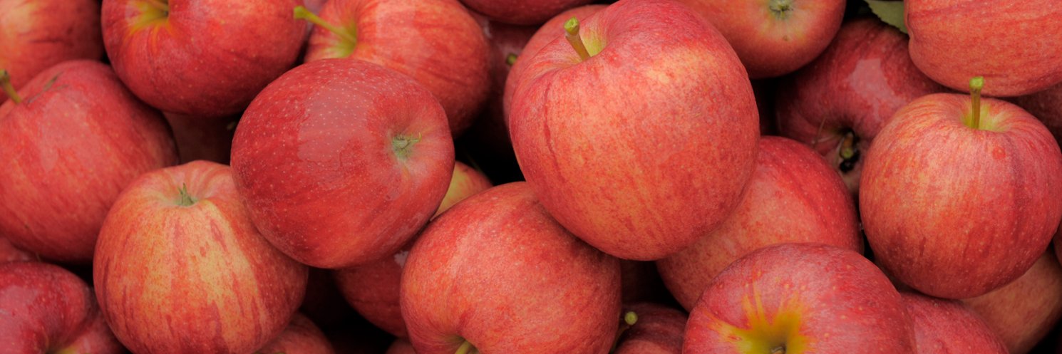 Ontario Apples banner