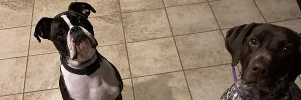 jAlmz5 Profile Banner