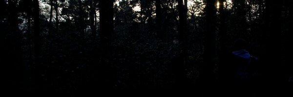 deeharvey Profile Banner