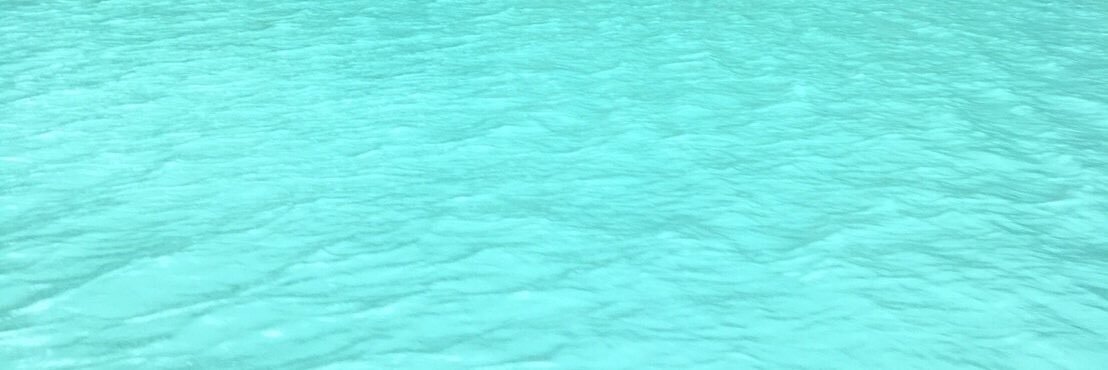_accane's profile banner image