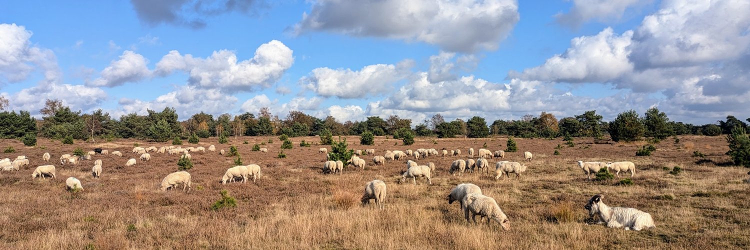 Marcel van der Laan banner
