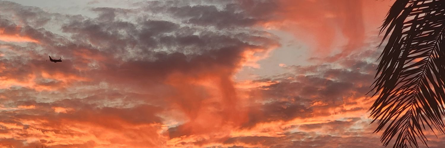 Lu_Hound's profile banner image