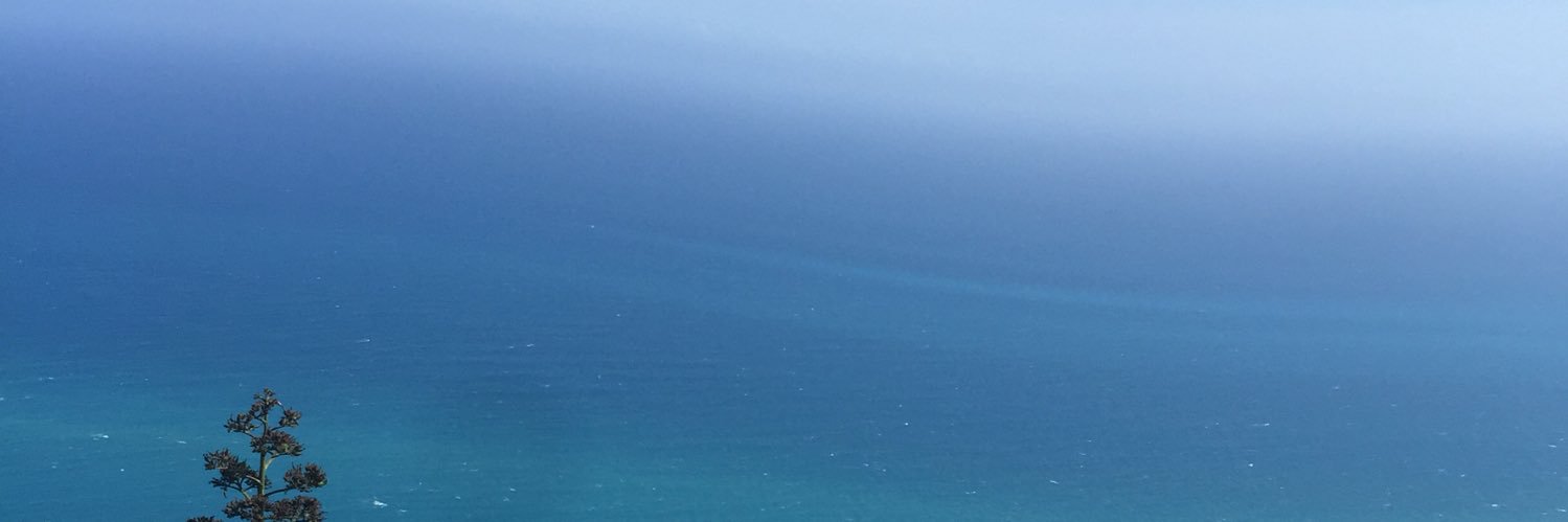 CornellCeasar's profile banner image