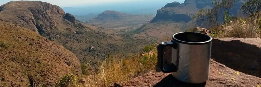 Ashleigh Donaldson banner