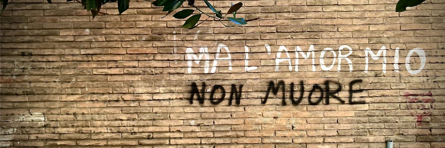 Manolo Luppichini (shadow-banned) 🇸🇴 banner