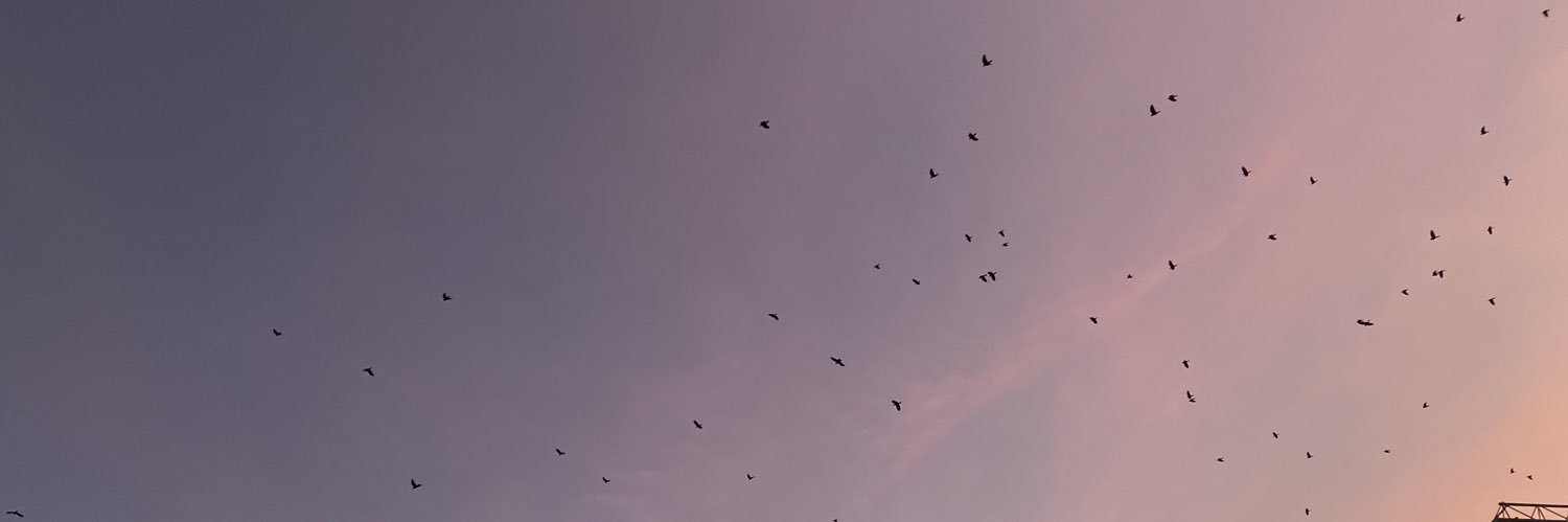 Francis_III's profile banner image