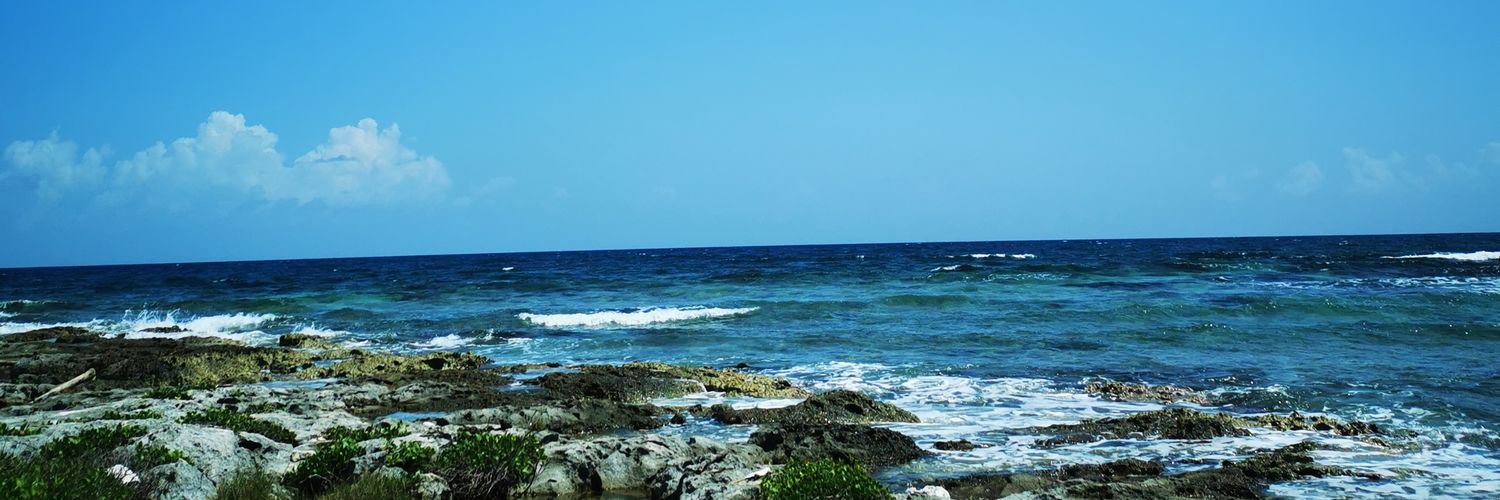 Alitzelcamacho's profile banner image