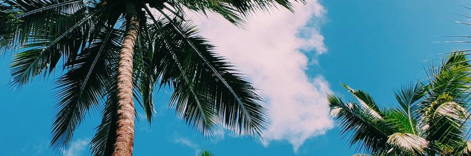 MenaAmes's profile banner image