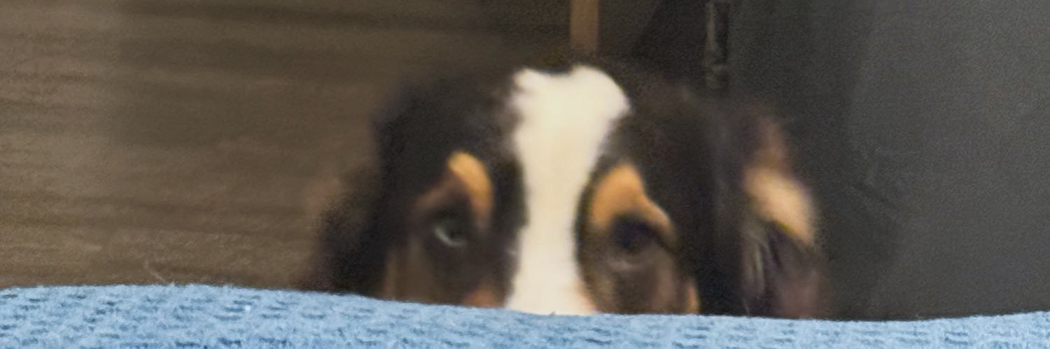 distrbngbhavior's profile banner image