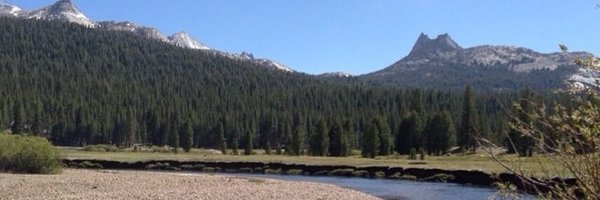 Sprague_Law Profile Banner