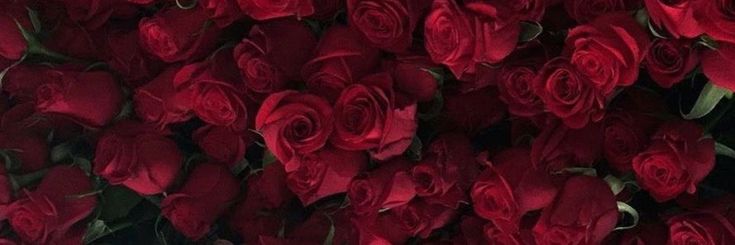 WINTERMlNT's profile banner image