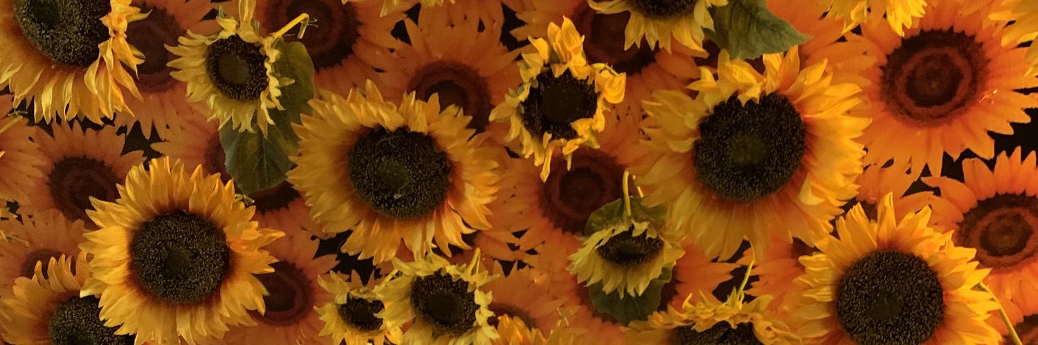 topitoo_'s profile banner image