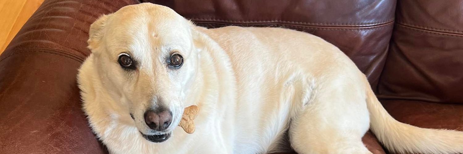 Jason Hardebeck🇺🇸🇺🇦 banner