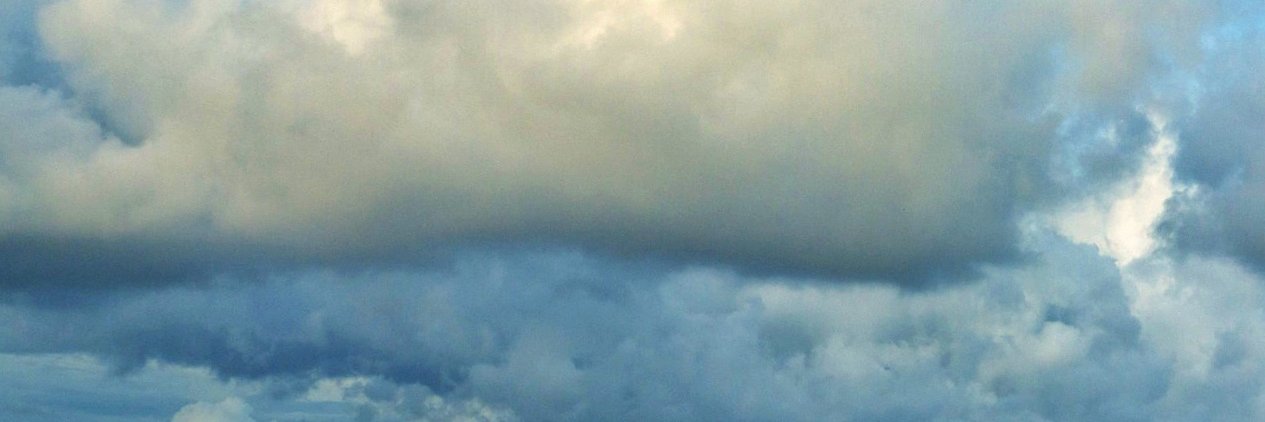 令狐补充 banner