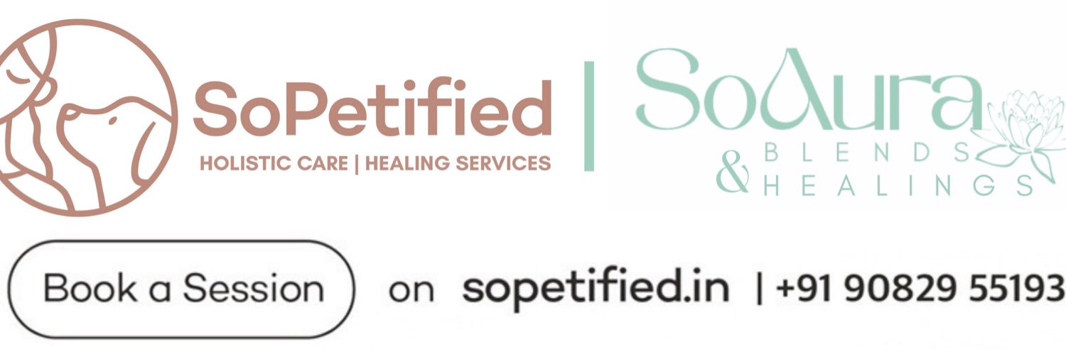 SohaaWrites's profile banner image